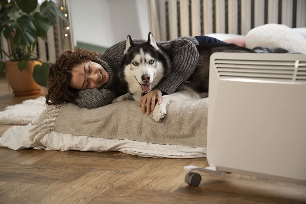 Ar Condicionado Faz Mal para Cachorro
